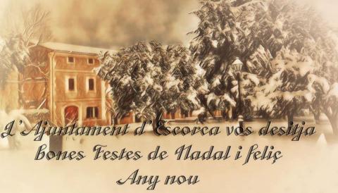 Bones Festes de Nadal i feliç Any nou